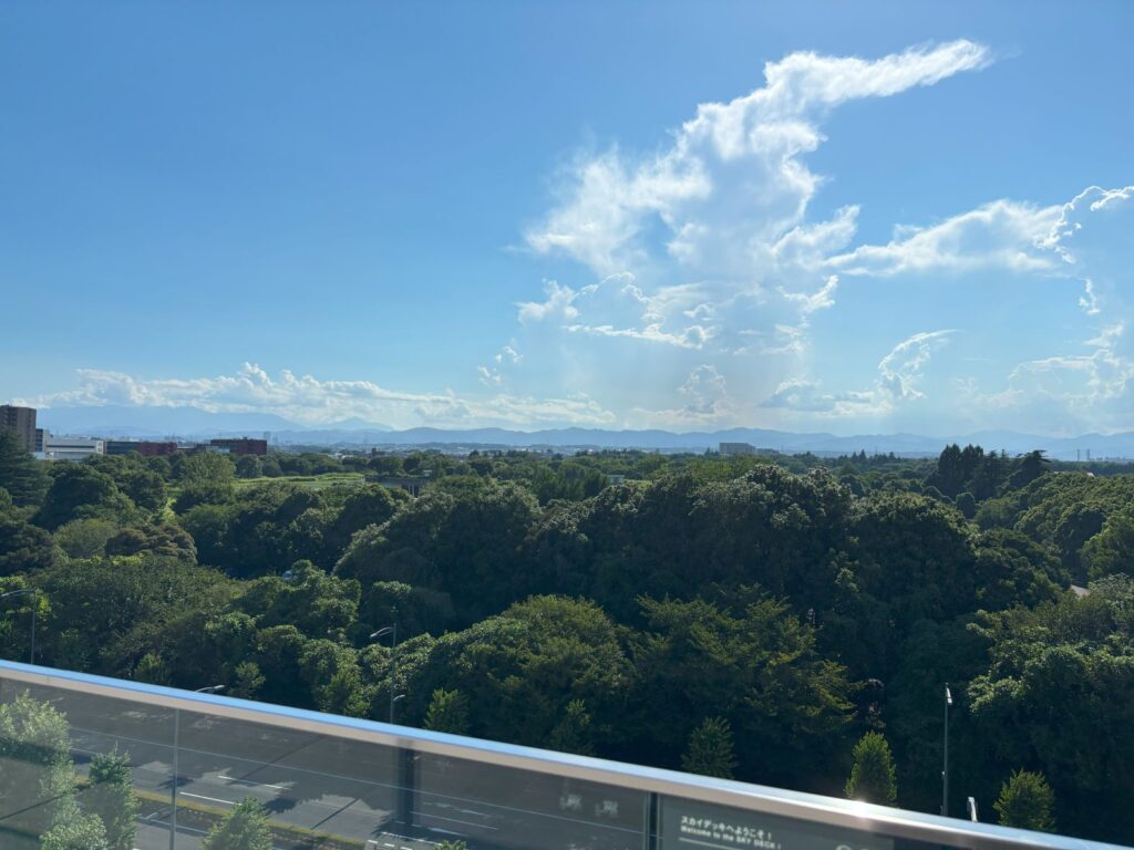 山嵜美樹税理士事務所