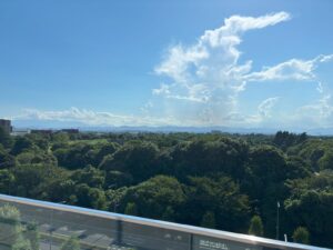 山嵜美樹税理士事務所